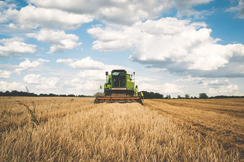 landwirtschaft